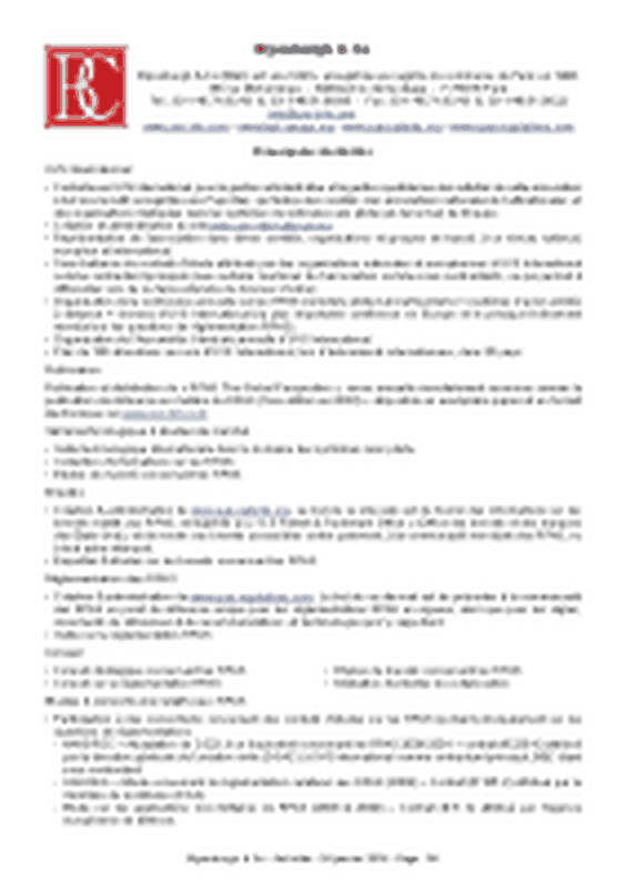 Blyenburgh & Co – Introduction – Spanish